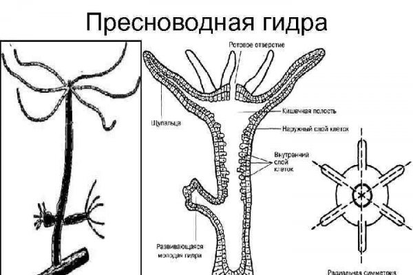 Kraken сайт зеркала krakens15 at