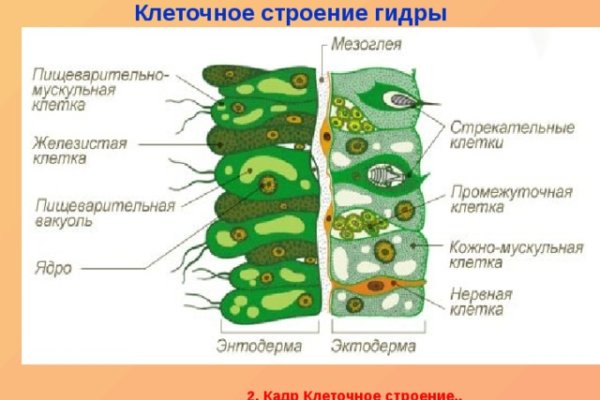 Кракен kr2web in магазин