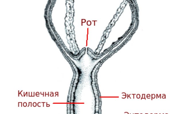 Кракена net