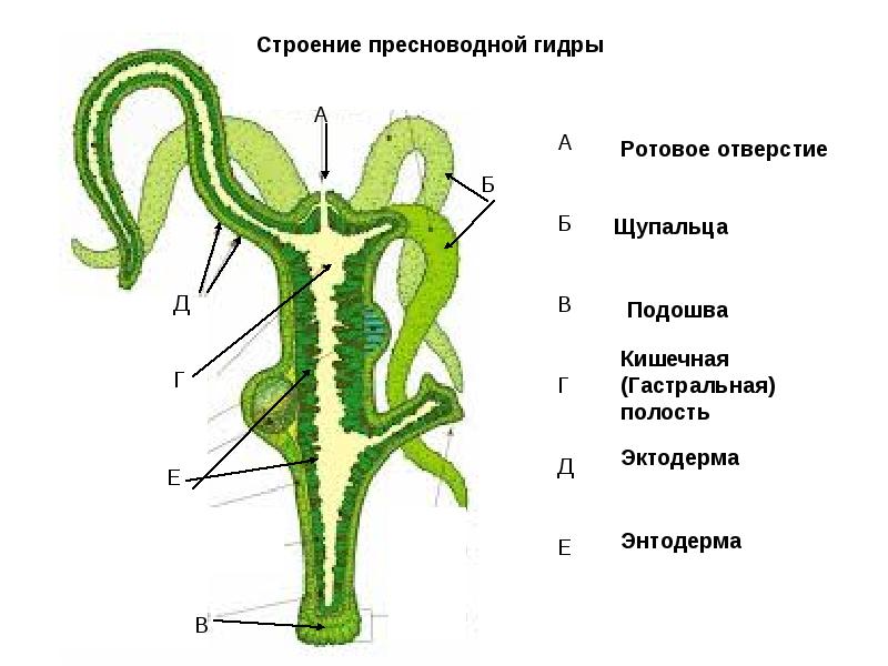 Ссылки на кракен com